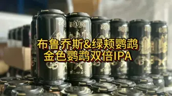 Download Video: 茶山归来第一杯，布鲁乔斯绿颊鹦鹉合酿金色鹦鹉双倍浑浊IPA