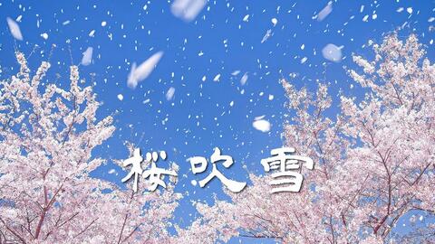 Cherry Blossoms Blizzard In Japan 桜吹雪 花吹雪 哔哩哔哩 Bilibili