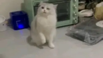 【丢丢】这个胡萝卜怎么还会叫 吓鼠了