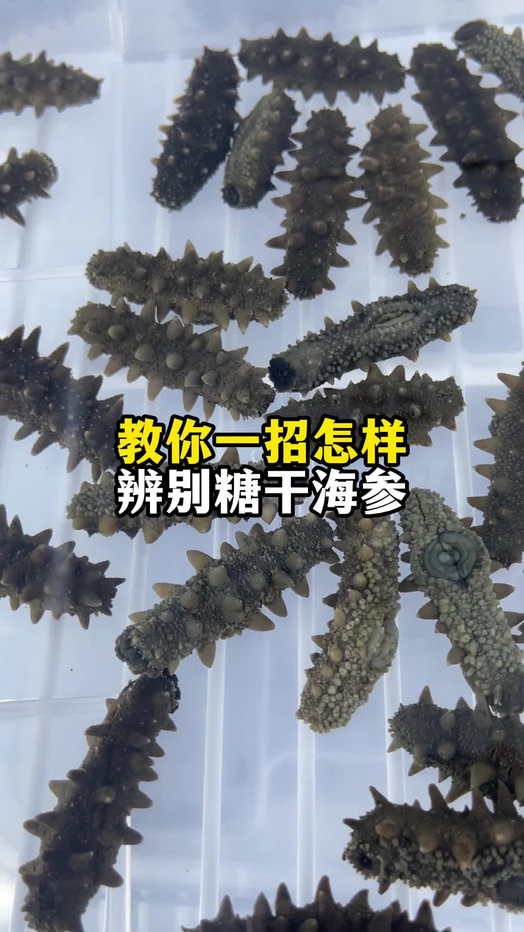 干海参有保质期吗图片