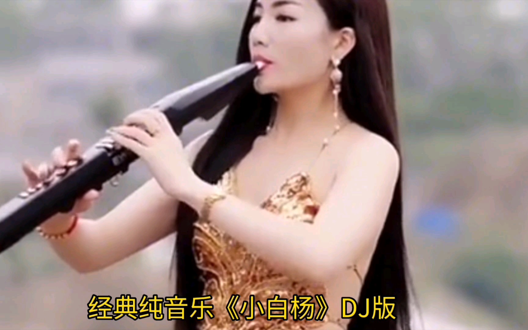 [图]车载DJ纯音乐《小白杨》旋律优美动感，超好听