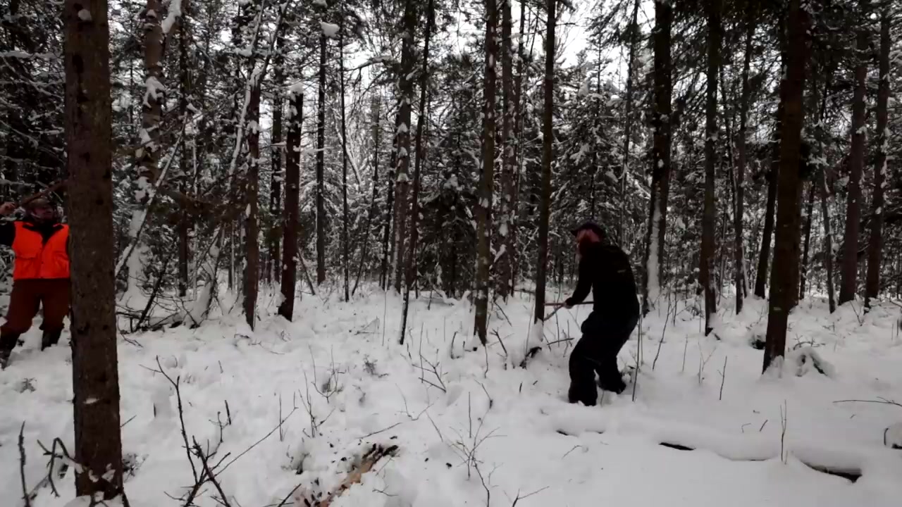 [图]Lost WINTER Survival Challenge (NO Food, NO Water, NO Shelter!) | Knife, Saw, Ax