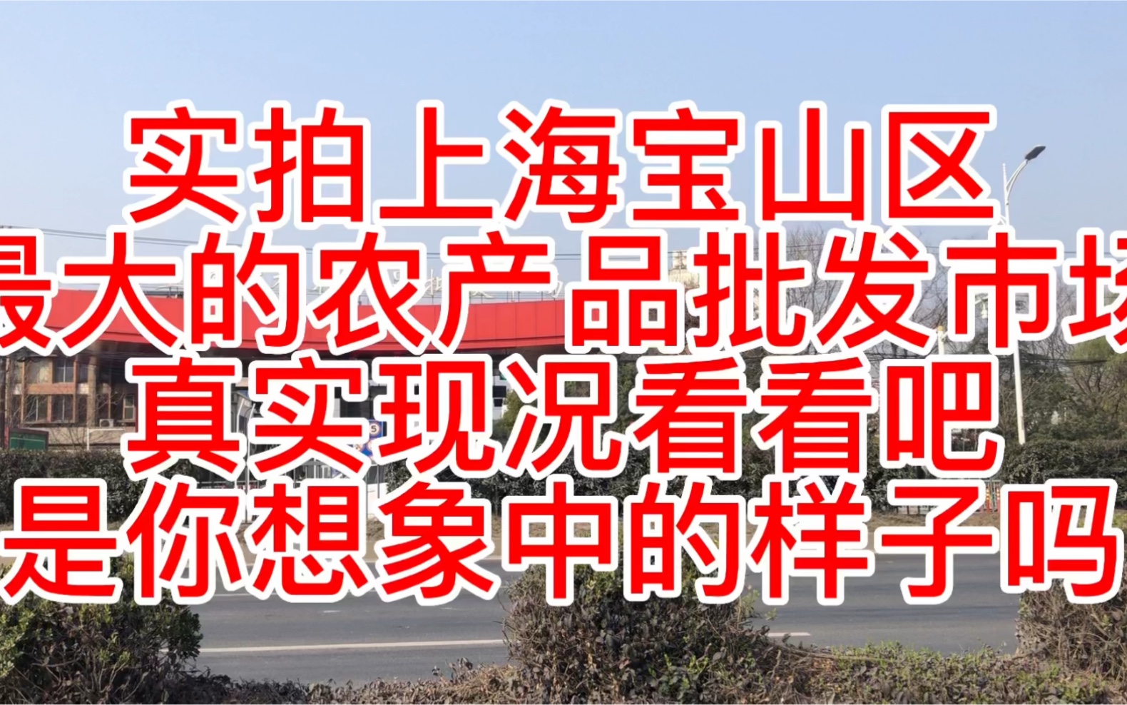 实拍上海宝山区最大批发市场真实现况看看吧是你想象中的样子吗哔哩哔哩bilibili