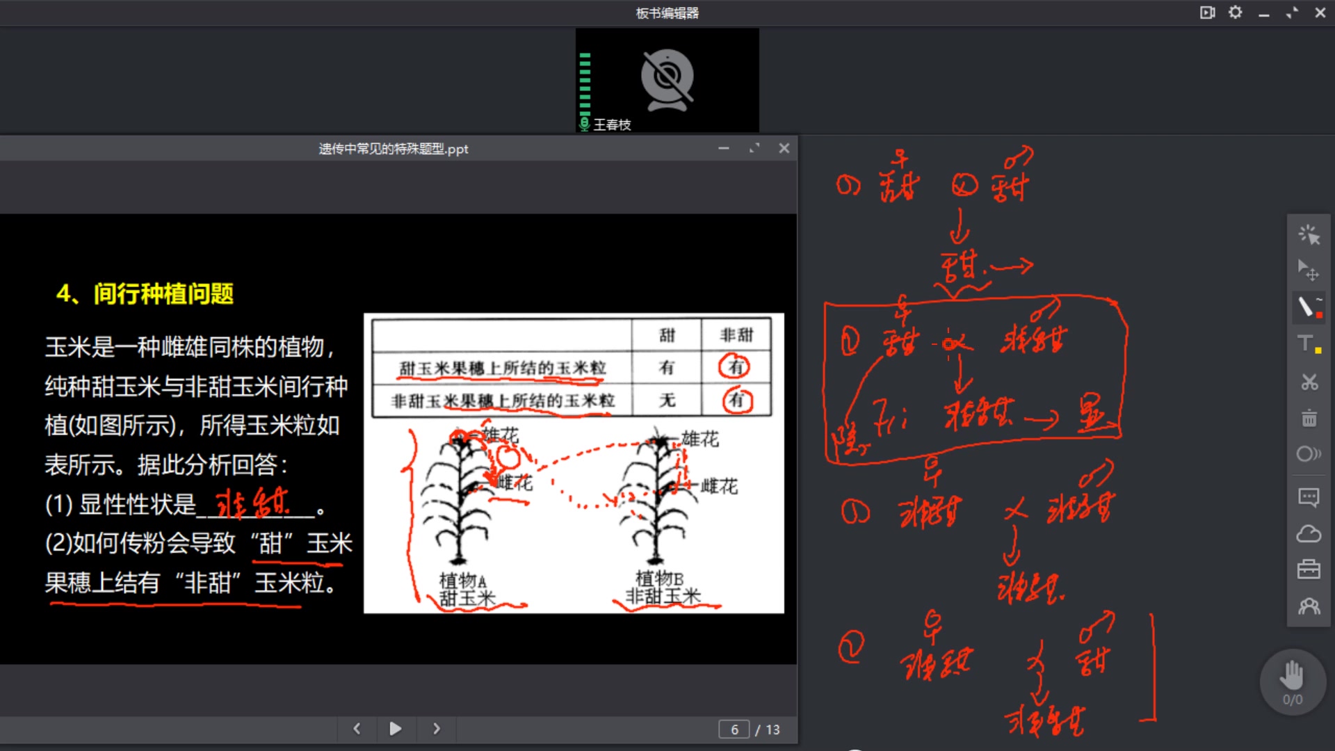 间行种植哔哩哔哩bilibili