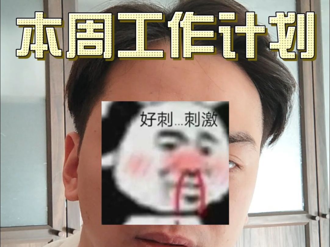 本周工作计划1216哔哩哔哩bilibili