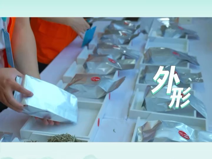 茶王来啦!2024福鼎白茶茶王赛,权威专家担任评审,5月27日,为您揭晓答案-海峡新干线-海峡新干线-哔哩哔哩视频