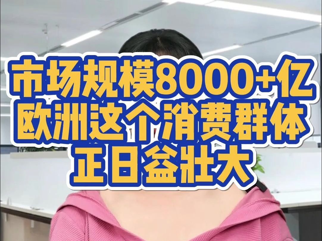 市场规模达8000+亿,欧洲这个消费群体正日益壮大哔哩哔哩bilibili