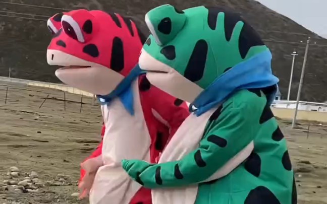 两只青蛙玩偶在滑滑板呢?