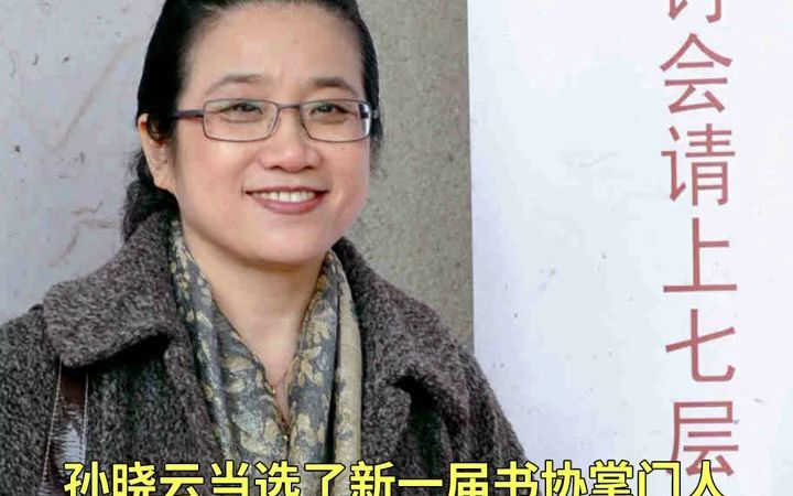 【书法】孙晓云耗时20年编出《书法有法》:揭开书法中的千古之秘,却遭田蕴章批评哔哩哔哩bilibili