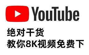 干货!教你下载youbute 8k超高清视频哔哩哔哩bilibili