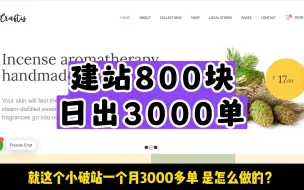 Descargar video: 800块建的跨境电商独立站，如何日出3000单