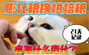 Download Video: 从膨化猫粮换成烘焙猫粮会有什么变化？21天记录～