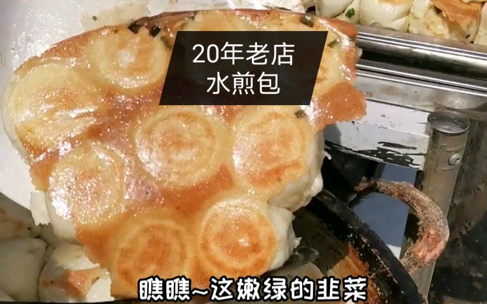 东营20年老店水煎包,你吃过吗?哔哩哔哩bilibili