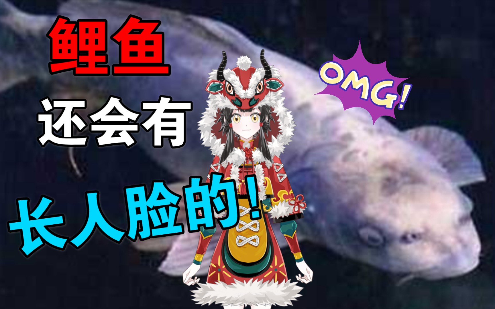 锦鲤家族的神秘成员人面锦鲤