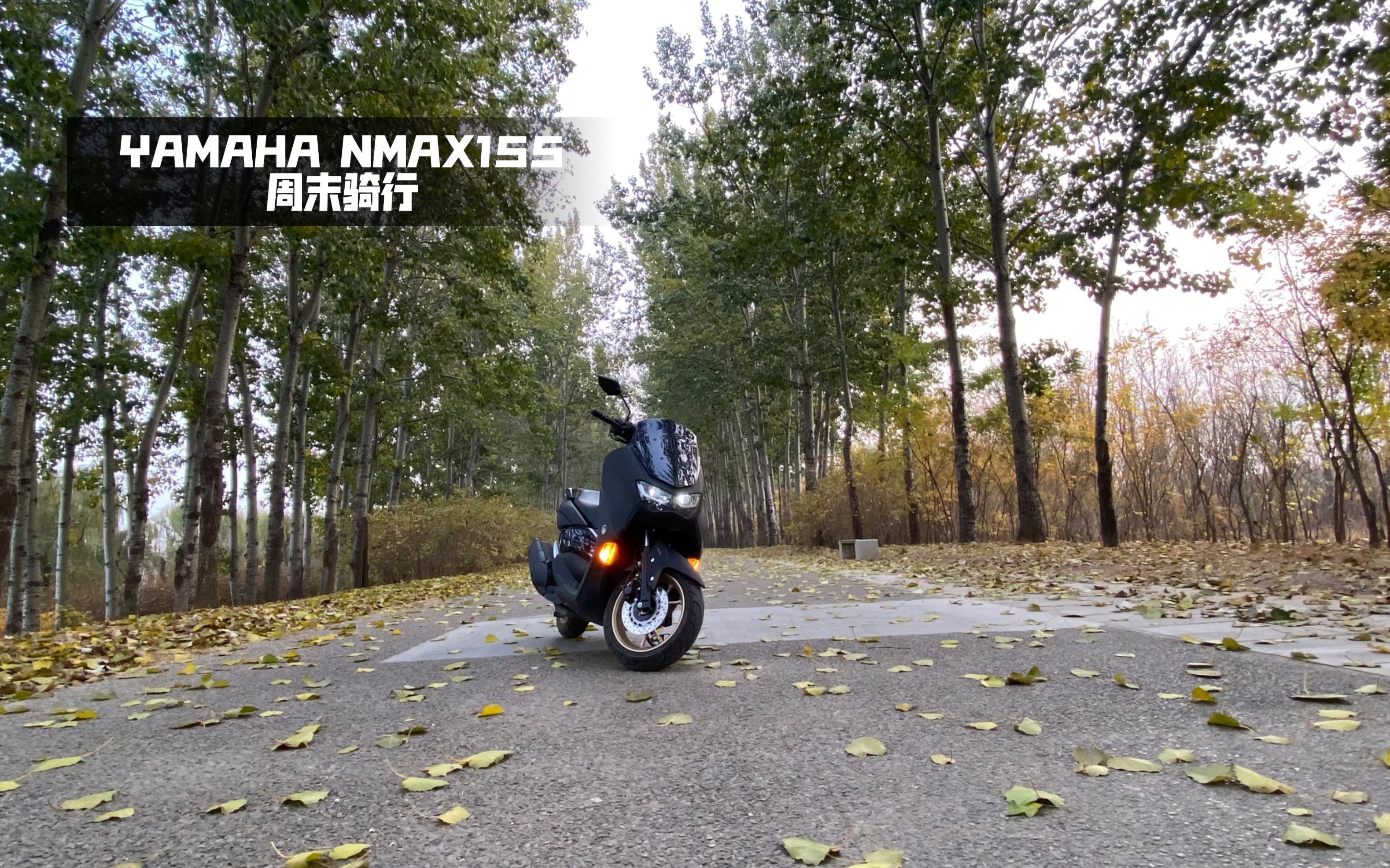 雅马哈n-max155秋季周末骑行