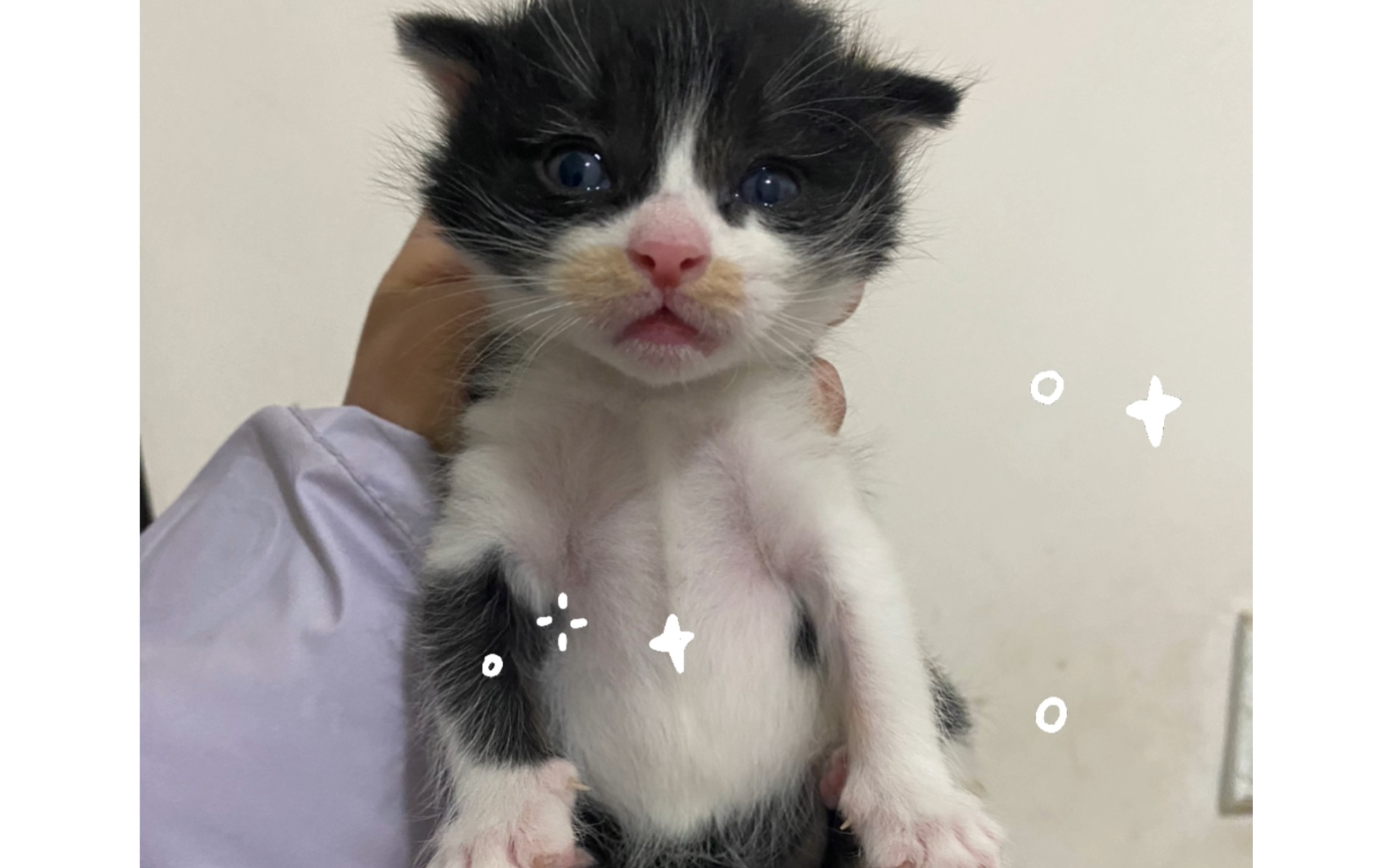 亮个相吧 小宝贝