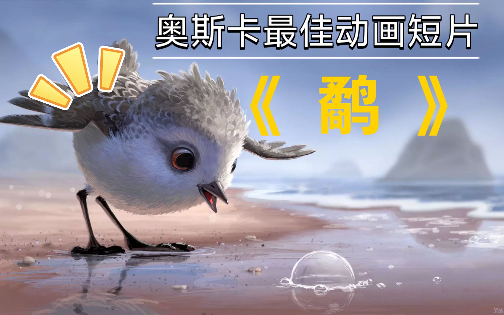 小小鹬太萌了!奥斯卡最佳动画短片,温馨又哲理!