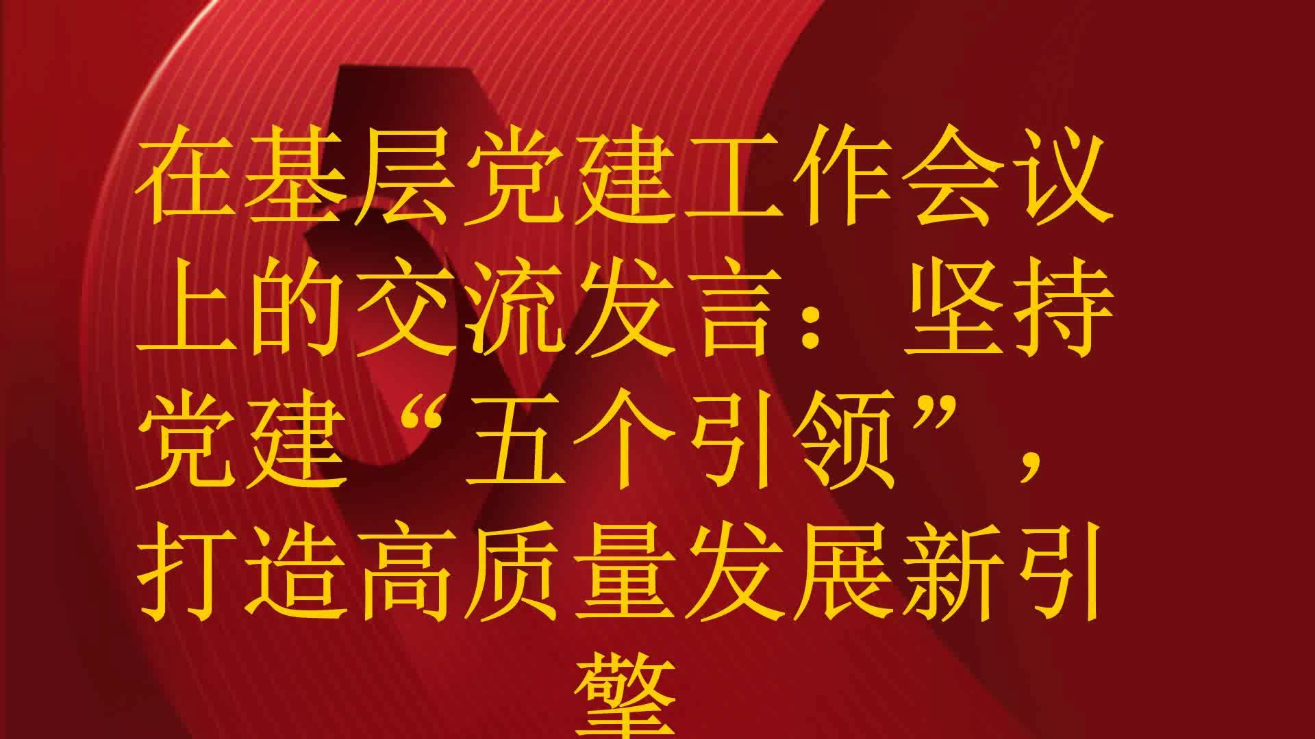 在基层党建工作会议上的交流发言:坚持党建“五个引领”,打造高质量发展新引擎哔哩哔哩bilibili