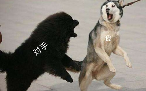 【炉石传说】人和人的差距真的比人和狗还大