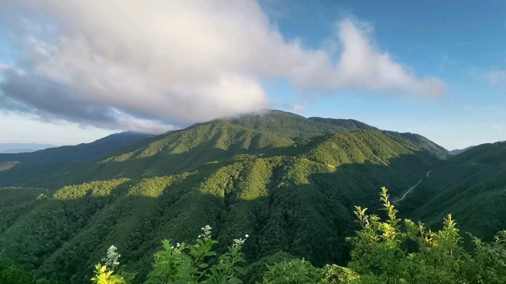 摩旅罗霄山脉,海拔1500多的毛鸡仙