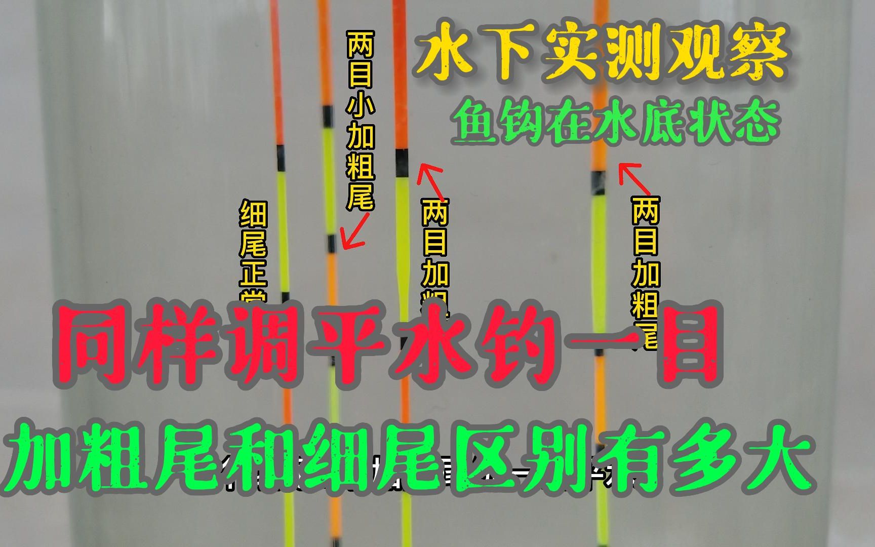 平水钓两目,加粗尾和细尾影响水下鱼钩状态有多大,实测一目了然哔哩哔哩bilibili