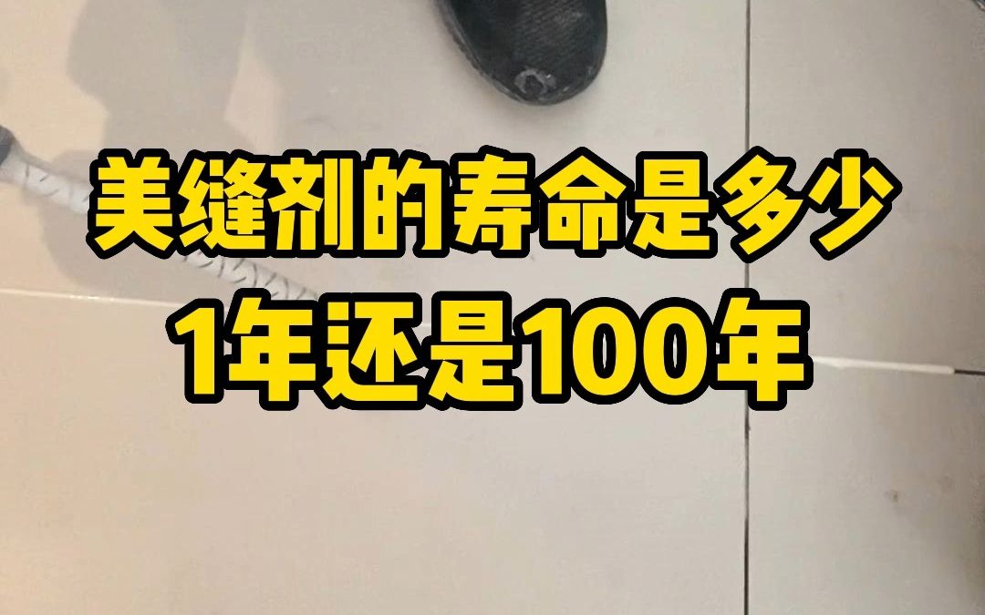 美缝剂的寿命到底是多久?1年还是100年,今天告诉你真相哔哩哔哩bilibili