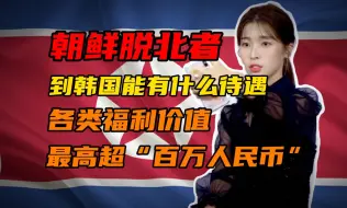 Download Video: 朝鲜民众到韩国可获丰厚补贴，为何仍难过上富裕生活？【半岛那些事】