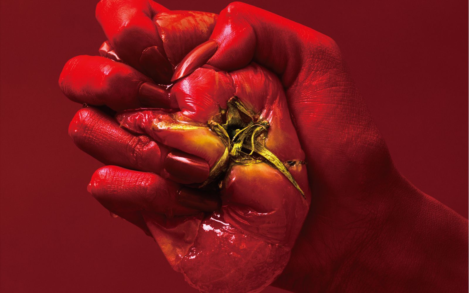 overlord不死者之王Ⅲop正式专辑全碟voracitymythroid