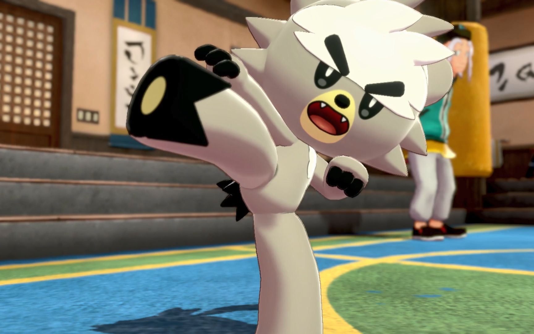 【宝可梦剑】直播第五天:母的武道熊师!