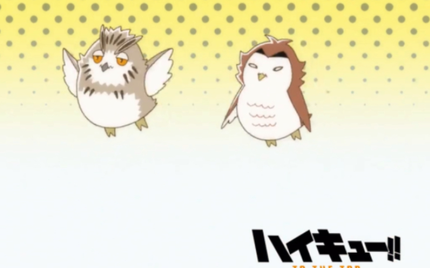 【排球少年】不会还有人没看过第四季的转场吧？！
