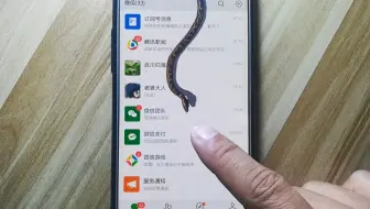 今天才知道，手机里可以养条蛇，有人动你手机就爬出来，好吓人
