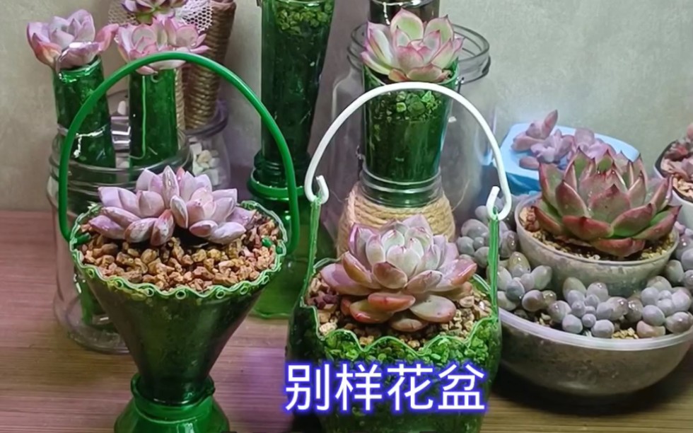 變廢為寶,自制別樣花盆