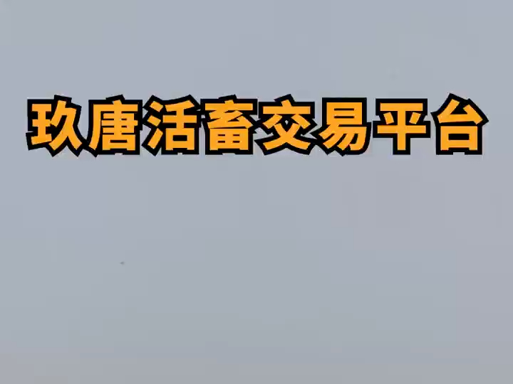 玖唐活畜交易平台支持养殖户与经纪人发布供求信息,利用先进算法与大数据精准匹配,打破地域壁垒,实现快速稳定交易.全程公平透明,让畜牧交易更...