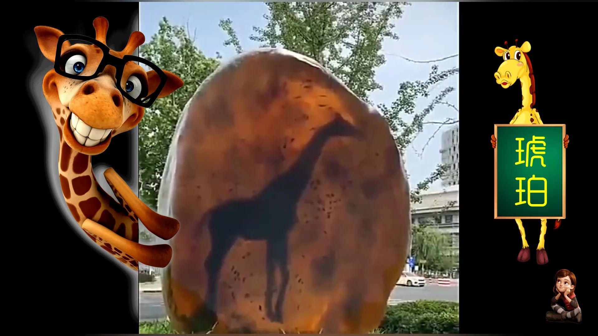 于谦家的琥珀里,真有一只长颈鹿!