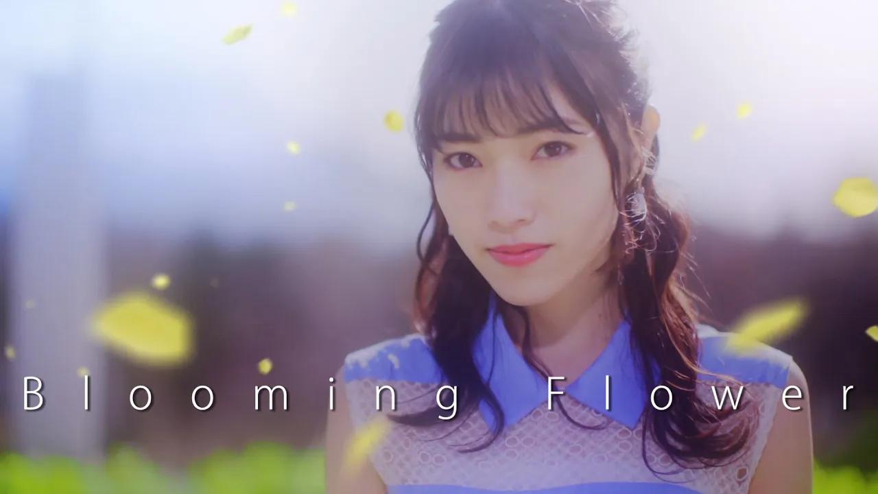 【石原夏织】「Blooming Flower」MV哔哩哔哩bilibili