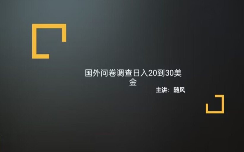 随风:国外问卷调查骗局哔哩哔哩bilibili