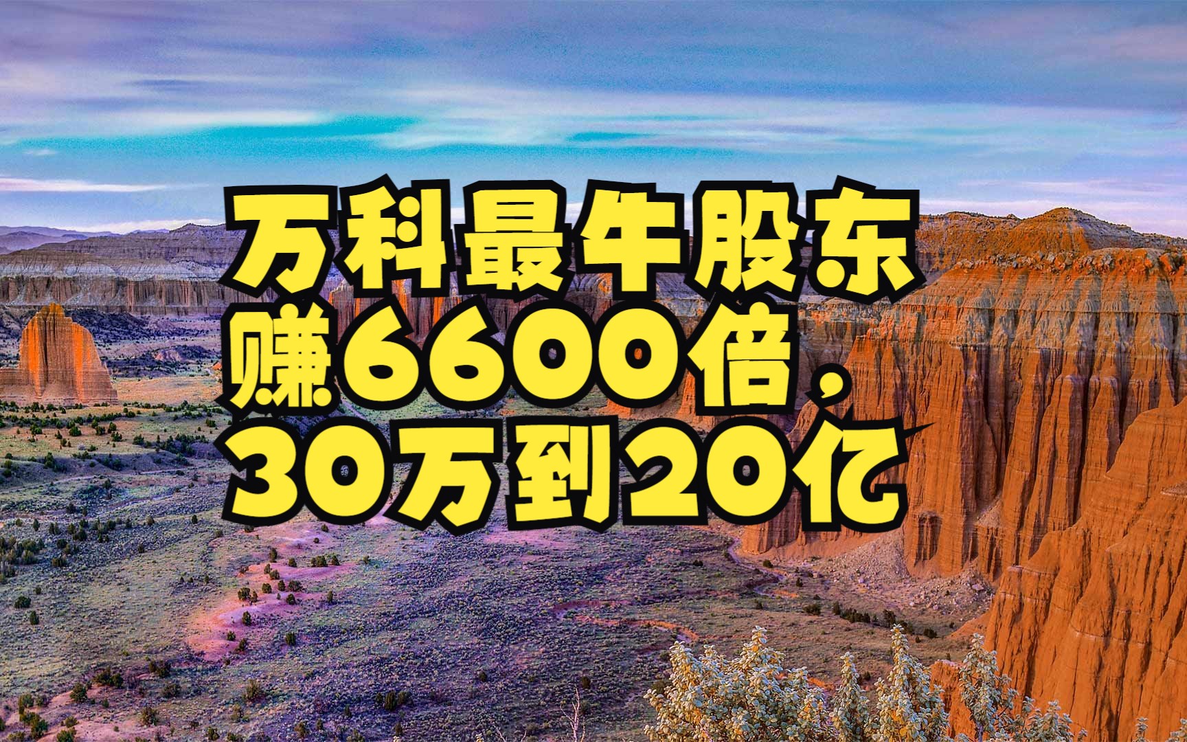 万科最牛股东赚6600倍,30万到20亿哔哩哔哩bilibili