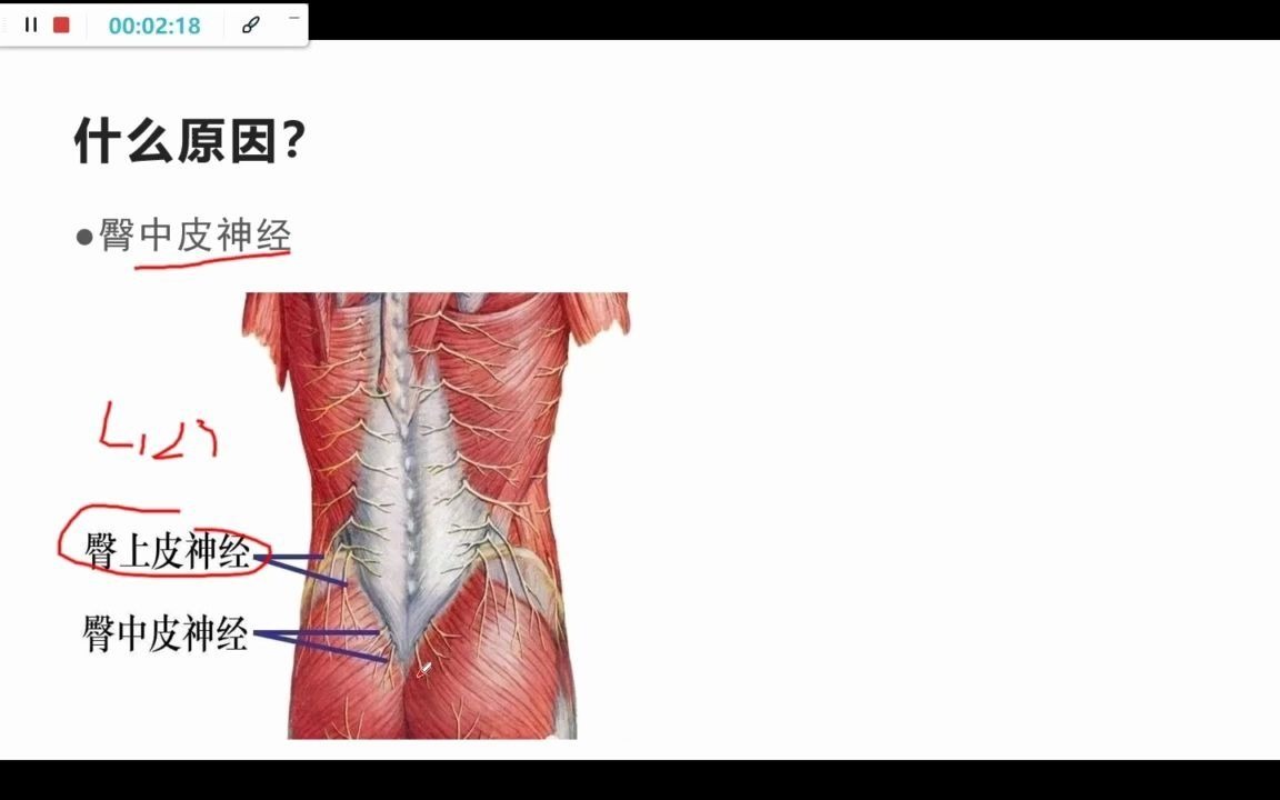 常忽略骶髂关节缝疼痛的原因——案例分析哔哩哔哩bilibili