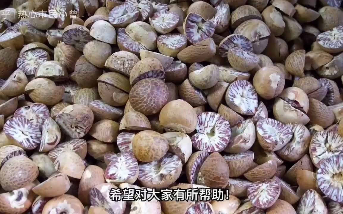 药食同源货物进口报关案例哔哩哔哩bilibili