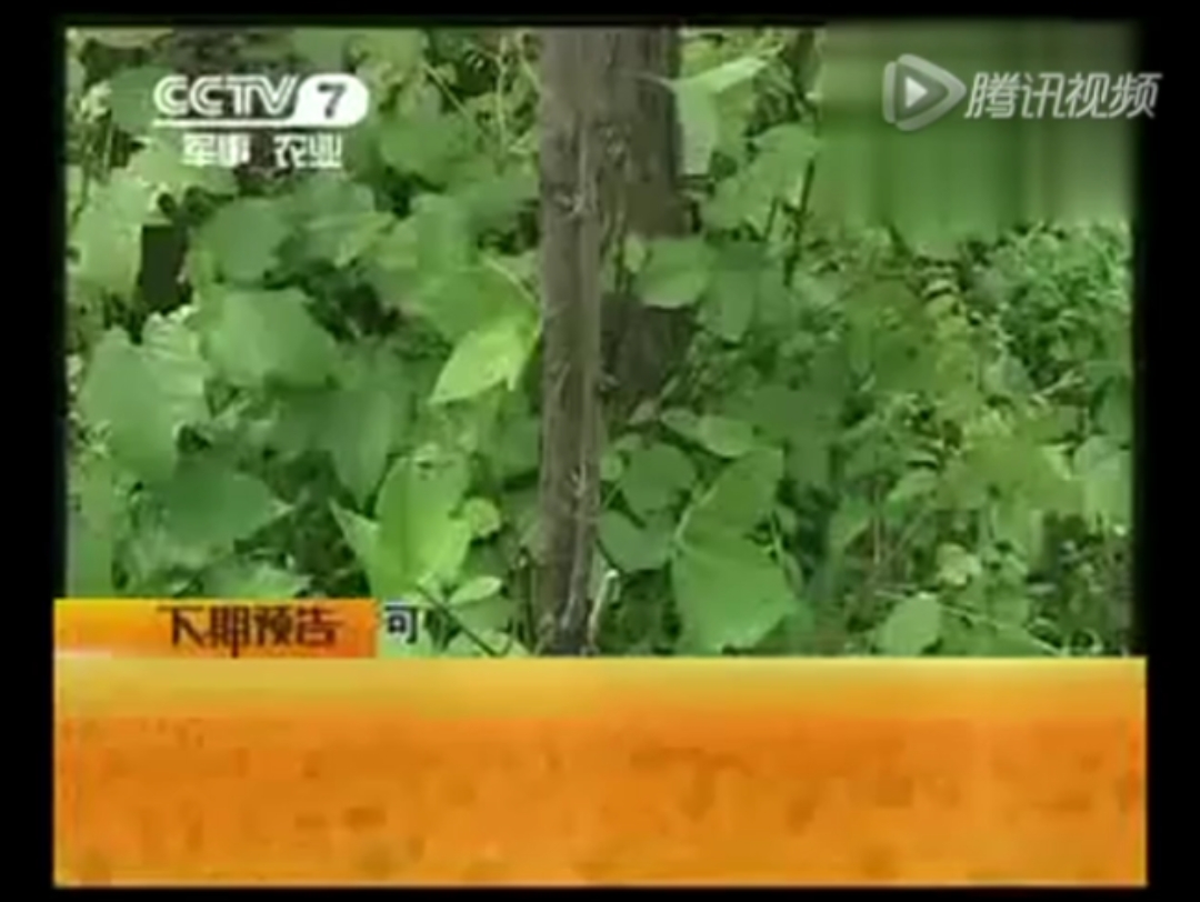 〔广播电视〕CCTV7农业节目《每日农经》ED+版权页+节目预告+二十四节气(2011.07.26)哔哩哔哩bilibili