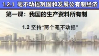 高中政治必修二《经济与社会》1.2.1 毫不动摇巩固和发展公有制经济