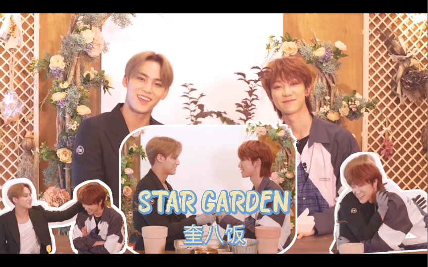 [图]【奎八】STAR GARDEN 合集加糖点分析