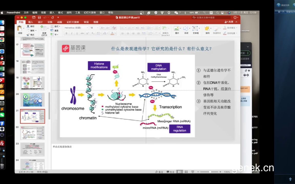 实用医学英语沟通与实践教程医学会员免费学哔哩哔哩bilibili