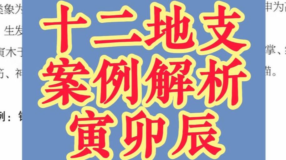 十二地支类相整理解析,寅卯辰哔哩哔哩bilibili