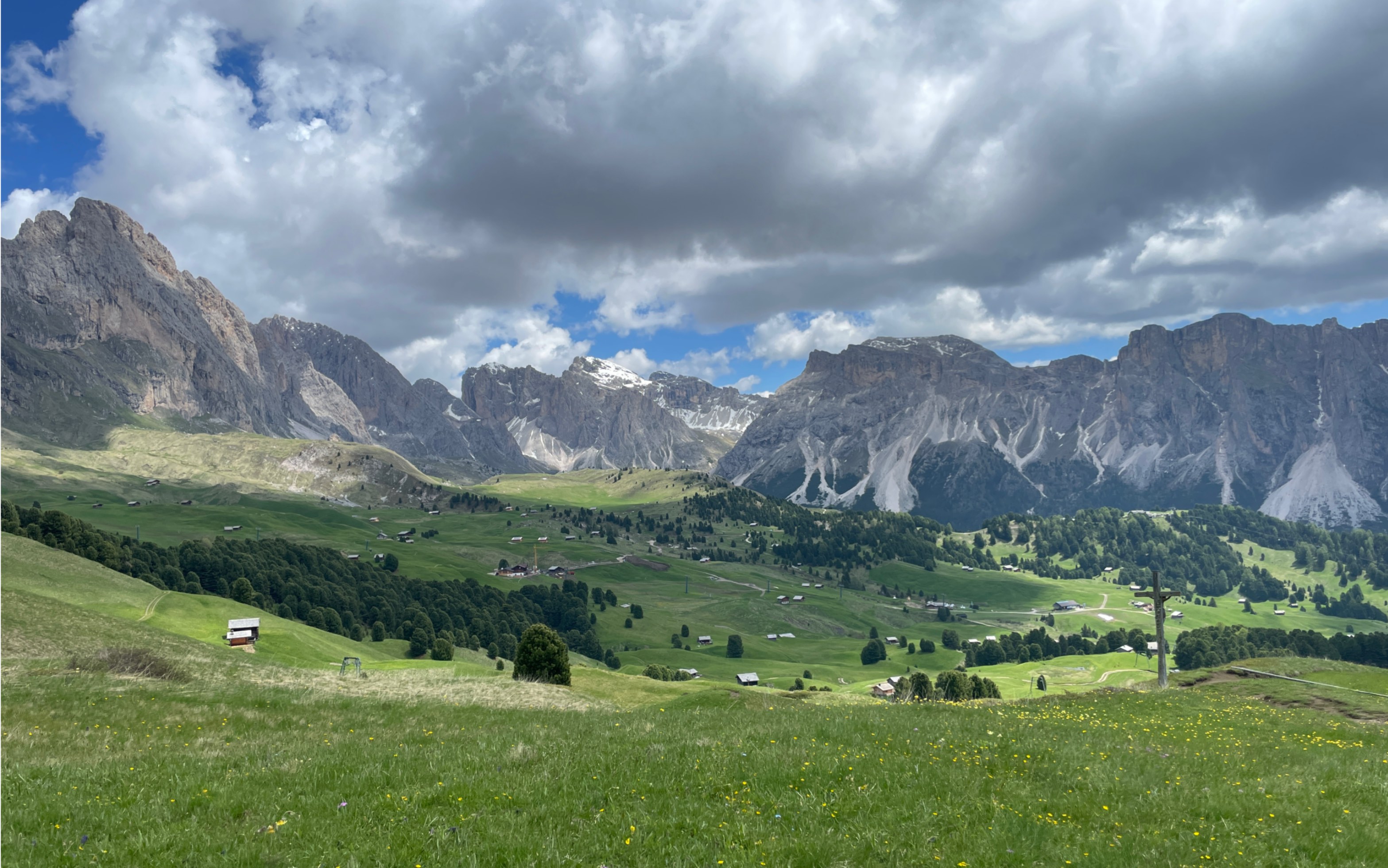雪山下的风摇晃晃 原野上的花郁苍苍