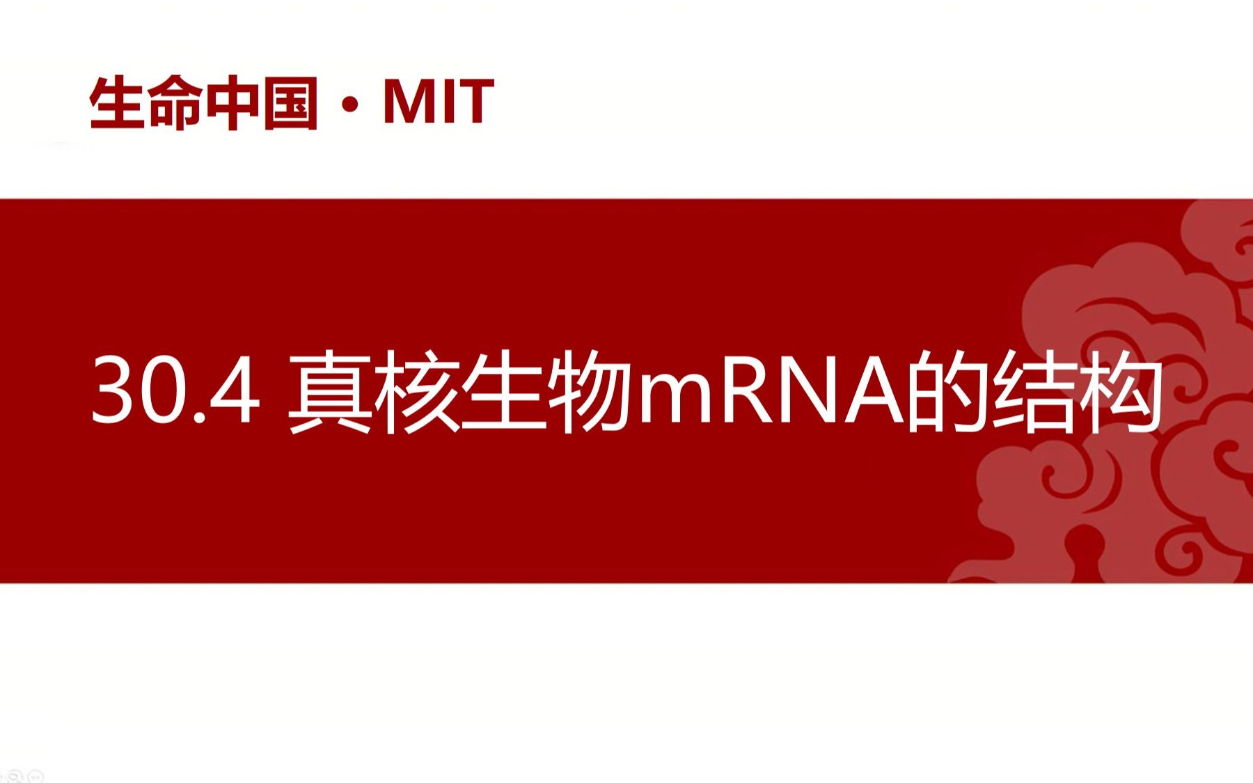 【分子生物学】30.4 真核生物mRNA的结构哔哩哔哩bilibili