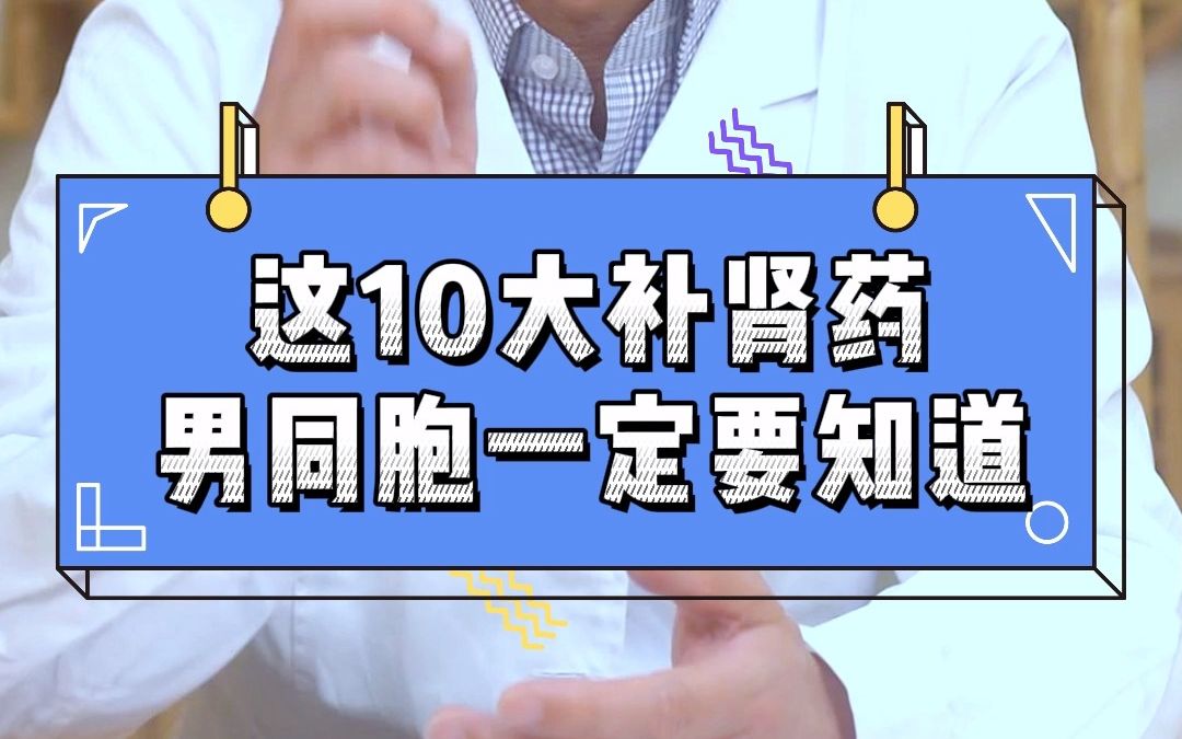 中医10大补肾药 男同胞一定要知道哔哩哔哩bilibili