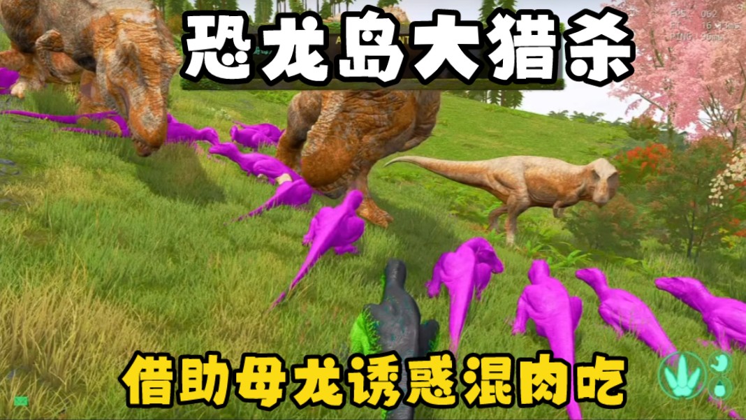 恐龙岛大猎杀(中),凭借母龙诱惑,成功进入大团队