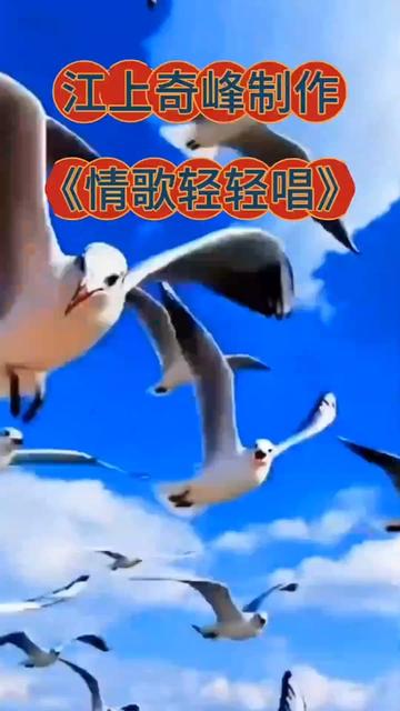 热门音乐97 #原创作品 #每日推荐音乐 #情歌对唱 #《情歌轻轻唱》