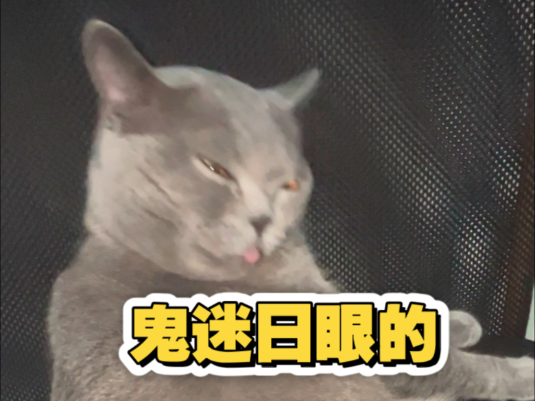 一天天的,鬼迷日眼的!